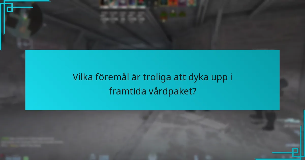 Vilka föremål är troliga att dyka upp i framtida vårdpaket?