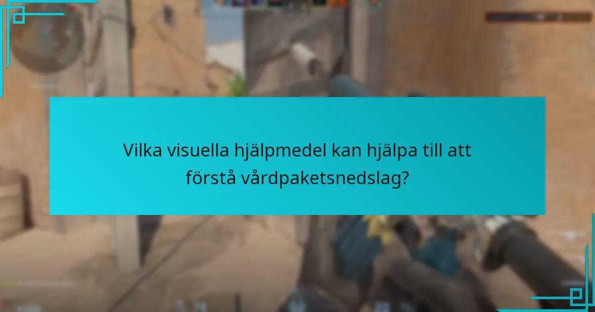 Vilka visuella hjälpmedel kan hjälpa till att förstå vårdpaketsnedslag?